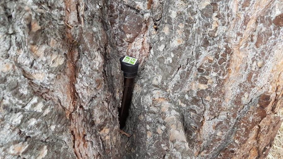 Dette er en tradisjonell cache, men i form av et lite rør med skrukork som inneholder logg og blyant hva er geocaching
